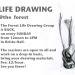 Live drawing at The Forest
Every Sunday&#160;!