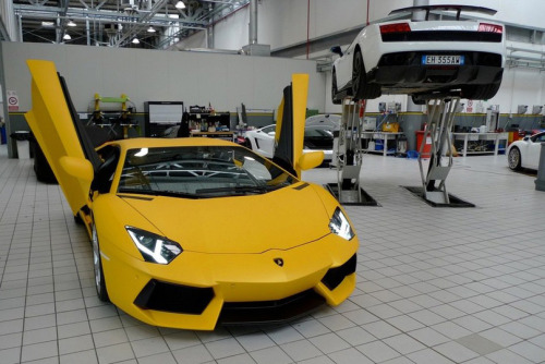 fuckyeahthebetterlife First Matte Yellow Lamborghini Aventador Zoom