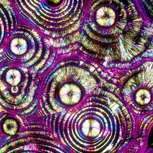  : autoentropy microscopic images of alco
