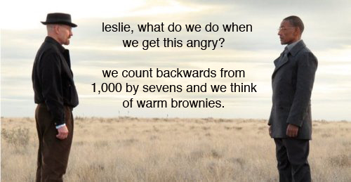 Ron: Leslie, what do we do when we get this angry?Leslie: We count backwards from 1,000 by sevens and we think of warm brownies.
— The Master Plan
