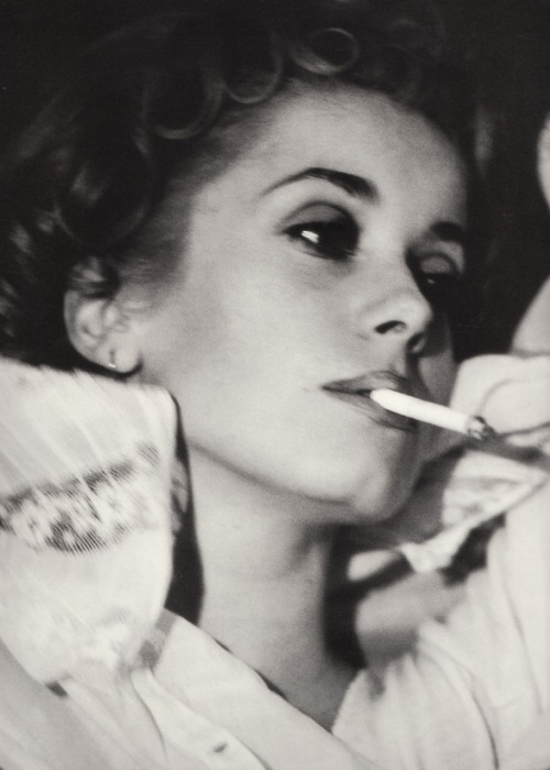 paperspots Catherine Deneuve in Vogue 1965 Photograph by David Bailey