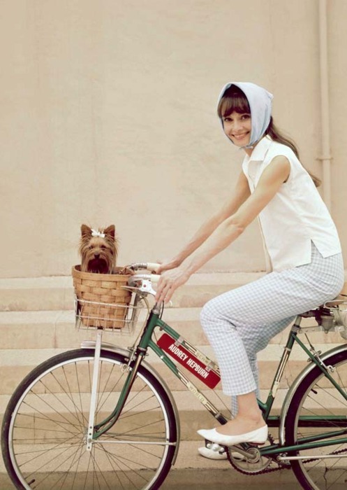 I’m puppy-sitting this week…not sure if I’m excited or not, but I wish I had a bike basket!