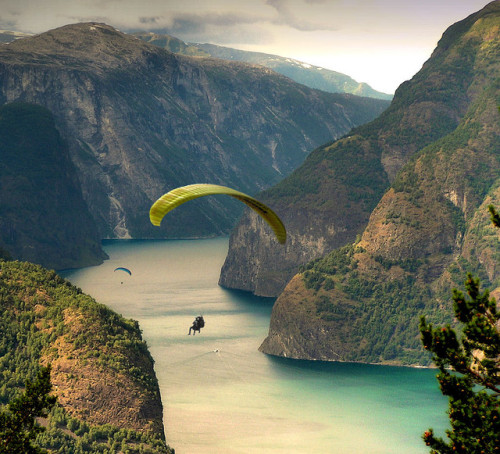 comp3ndium:

Paragliding along the Aurlandfjords by B℮n on Flickr.
