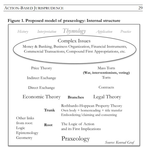 
To summarize up to this point, using a simple tree metaphor, the root of praxeology can be derived using the analysis of the actions of an isolated individual—the concept of action and its first implications. The trunk comprises the analysis of interaction with classes of communicative  acts—embordering/claiming and consenting—and accounts of the concept of first appropriation and the possibility of the consensual transfer of property titles. These concepts are logically prior to branching into economic theory and legal theory because the concepts of both branches logically presuppose some account of the root and trunk foundations, even if this is unacknowledged. The transition into branching may be identified with the move from universal features of all action or interaction to axiomatic deductions that are more narrowly specified with increasing factual or contextual assumptions that assure the relevance of analysis to the parameters of the type of world and context being considered.
