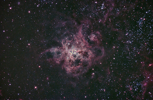 hellanne:

NGC 2070 Tarantula (by mylotian)
