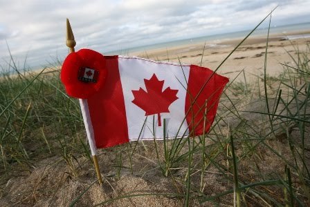 in Flanders fields Remembrance Day 