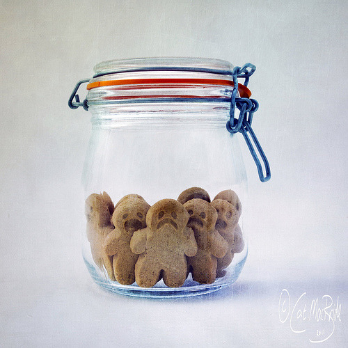 324/365, things were no longer sweet in the cookie jar… (by CatMacBride)