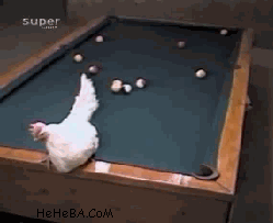 Wanna Play Chicken?