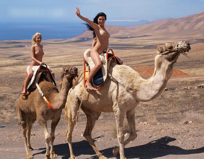 special guest stars naked girls with camels