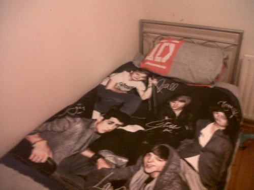 My other 1D bedcovers :D