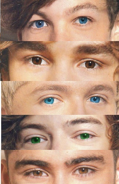 One Direction&#8217;s eyes

ItsBiebersPerry1D