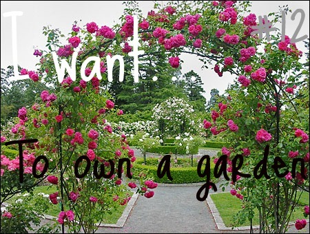 I want.. ▲ [3]