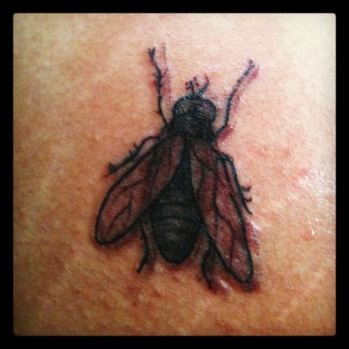 Fly tattoo whats the buzz cuzz Tiny Black ink Taken with instagram 