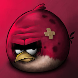 Big Bro Angry Bird