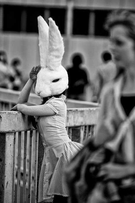 always-a-slave:

Thats right I’m also the white rabbit!
