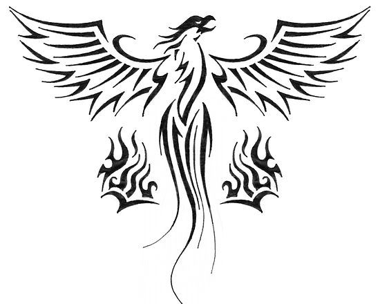 phoenix tattoo drawing