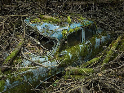 (via Fresh Pics: Abandoned Antique Cars Reclaimed By Nature)