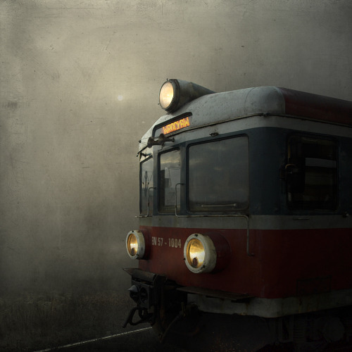 whisperinglion:

Train by ~inz-feelgood
