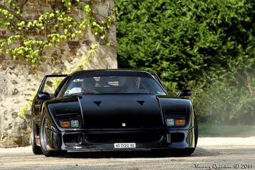  Black Ferrari F40 Cars Italian Cars