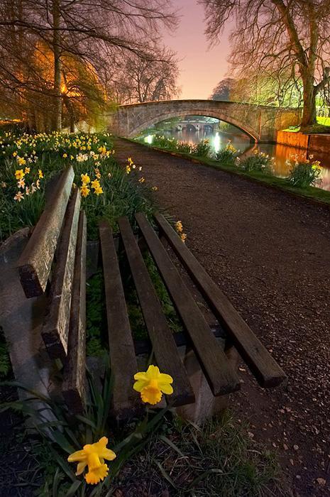 Spring Evening, Cambridge, England
photo by sean