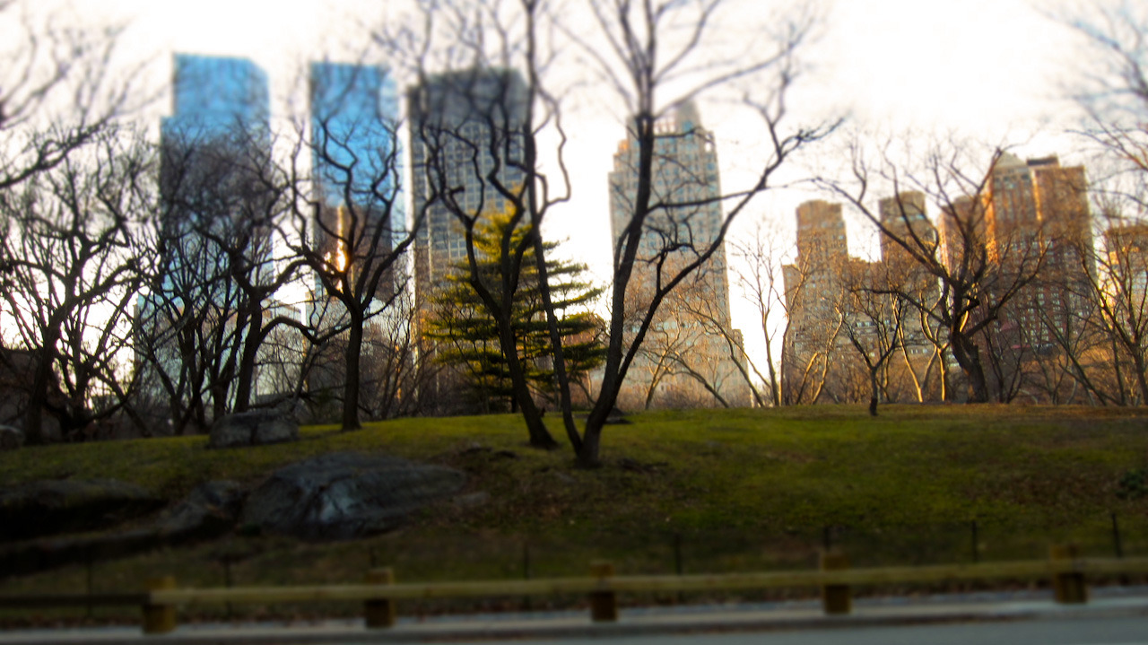 au2026:

a few weeks later the buildings will be hidden behind a wall of green.central park. just short of spring.
