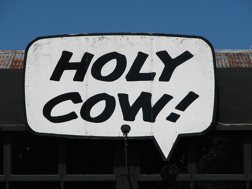 Holy Cow! sign in Lake Taupo (via jcolman) 