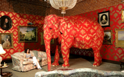 Can't hide the elephant in the room