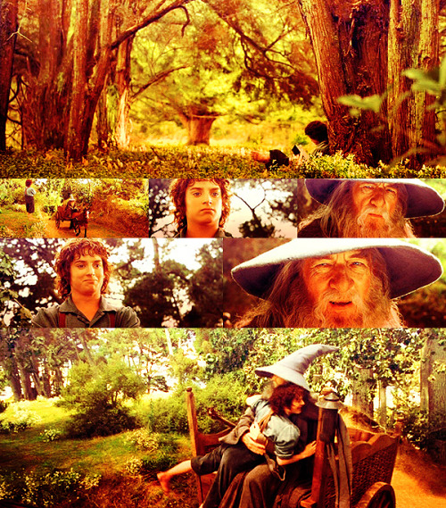 heirofisildur: Frodo: “It’s wonderful to see you Gandalf!” 