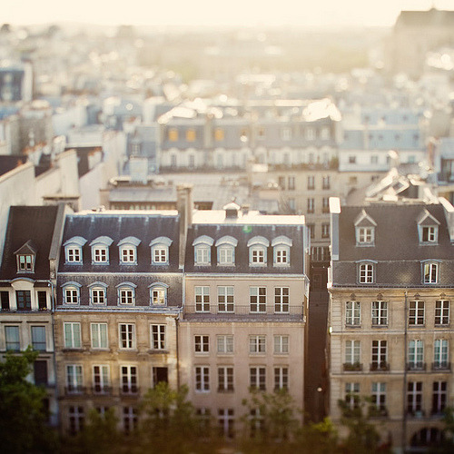 Dans mon reve de Paris (by IrenaS) 