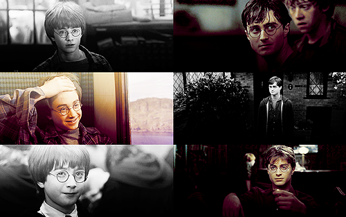  → then and now / harry potter 