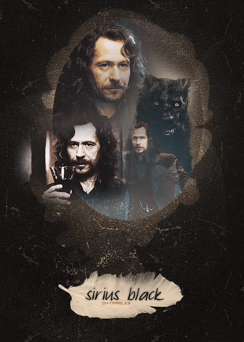  Sirius Black 