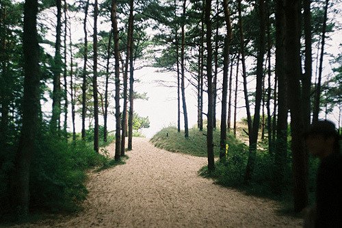 cavum: seaside path (by joe pepper) 