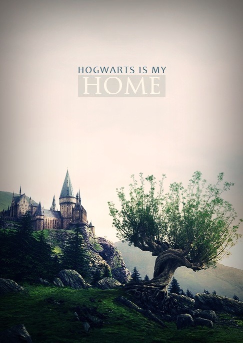 generallyyintrovertedd: “Things Harry Potter Taught Me: Hogwarts will always be there to welcome us home” Saw this on twitter this morning. I really wish Hogwarts were real and i could call it my home. I need Hogwarts, a place where I am welcomed and don’t feel out of place. 