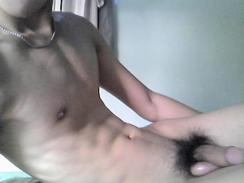 Soft Asian Cock With Hairy Bush Big Asian Dick