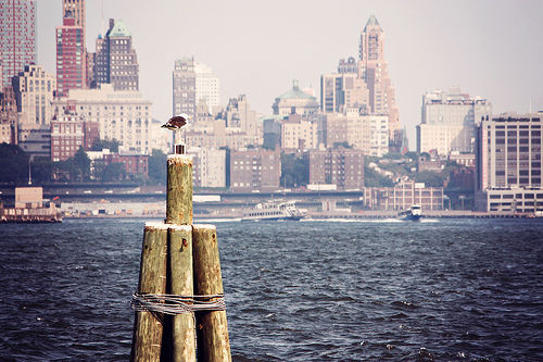 furples: New York, New York (by Beth Frueh) 